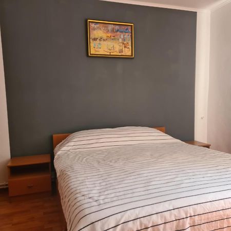 Mall Zone 100Mp Apartments Bacau Bagian luar foto